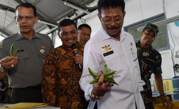 Menteri Pertanian Syahrul Yasin Limpo (baju putih) saat meninjau kualitas edamame produksi Jember beberapa waktu lalu