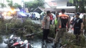 Tertimpa Pohon Saat Hujan dan Angin Kencang, Pasangan Suami Istri Meninggal di Tempat