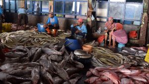 Harga Ikan Laut di Lamongan Naik 5%