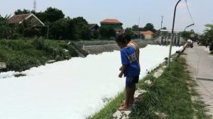 Sungai di Sidoarjo Dipenuhi Busa