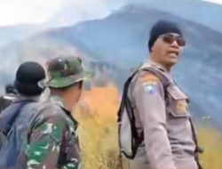 Kebakaran Gunung Arjuno Polisi Tahap Pencarian Pemburu Liar