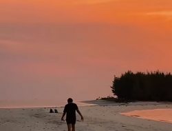 Pulau Bawean, Surganya Gresik: Daftar Wisata hingga Harga