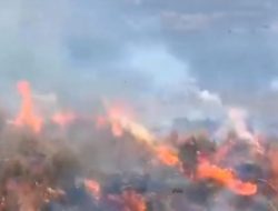 Bukit Keciri Pasuruan Terbakar Akibat Kebakaran di Gunung Bromo, BPBD Berusaha Melakukan Water Bombing