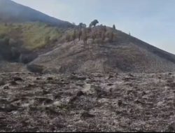 Setelah Kebakaran Padam, Wisata Gunung Bromo Kembali Dibuka