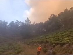 Kebakaran di Gunung Lawu Belum Mereda, Warga Gelar Salat untuk Meminta Hujan