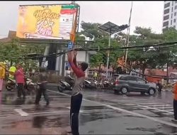 Hujan Lebat dan Angin Kencang di Surabaya Menyebabkan Pohon Tumbang dan Kemacetan Lalu Lintas