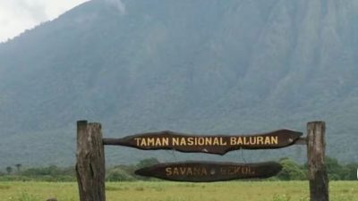 10 Destinasi Wisata Populer di Jawa Timur: Dari Alam hingga Edukasi