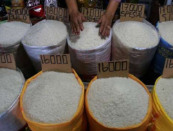 Perlu Dibentuk Pansus: Sorotan Terhadap Skandal Mark Up Impor Beras di DPR RI