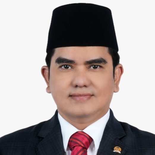 Anggota DPR RI - PDI P