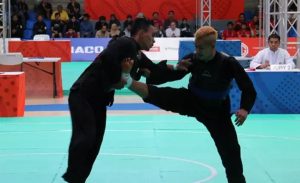 Resmi! UNESCO Tetapkan Pencak Silat sebagai Warisan Budaya Tak Benda Dunia