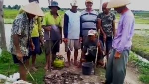 Sayembara Berburu Tikus di Ngawi, 1 Ekor Rp 2.000