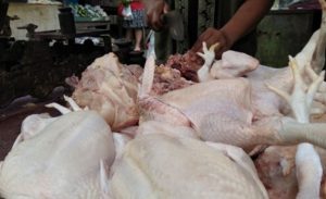 Harga Daging Ayam Ras di Malang, Kembali Meroket