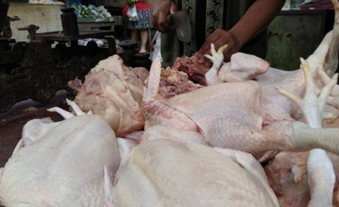 Ilustrasi naiknya harga daging ayam ras