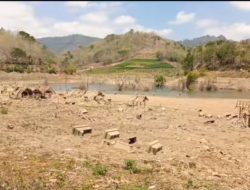 Makam Tua Terlihat Setelah Waduk Bendo Ponorogo Mengalami Kekeringan