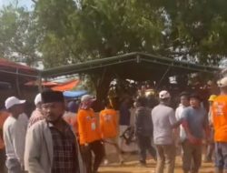 Kericuhan Karapan Sapi di Bangkalan: 3 Orang Terluka dan Satu Kritis