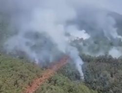 Kebakaran di Gunung Lawu Meluas hingga 2 Ribu Hektare, Water Bombing Dilakukan 25 Kali Sehari