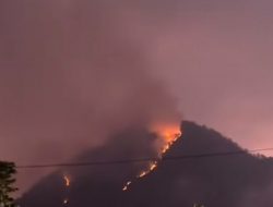 Hutan di Gunung Panderman Kota Batu Terbakar Akibat Petir