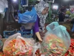 Krisis Pasokan Cabai: Harga Meroket di Jawa Timur dan Tantangan Petani Menghadapi Musim Kemarau