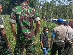 Misteri Kematian Feri Salehuddin: Mayat Pria Ditemukan dengan Tanda Kekerasan di Kebun Tebu Bondowoso