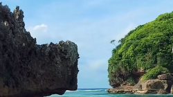 Destinasi Wisata Pantai Tanjung Penyu Mas, Malang: Pesona Tersembunyi yang Memukau
