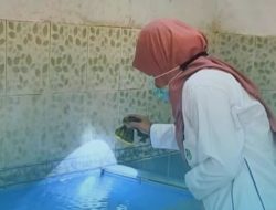Kasus Demam Berdarah Dengue (DBD) di Surabaya Naik, Dinkes Tetapkan Status Waspada
