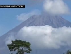 Semeru Erupsi 2 Kali Pagi Ini, Muntahkan Abu Vulkanik Setinggi 800 Meter