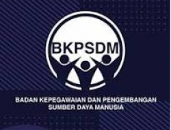 BKPSDM Surabaya Sedang Memfokuskan Diri pada Proses Entri Data untuk Rekrutmen PNS