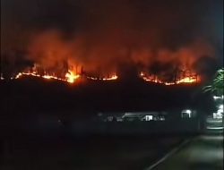 3 Hektare Hutan Jati di Tulungagung Terbakar