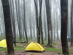 Viral Video Sejoli Mesum di Tenda saat Berkemah di Bedengan Malang